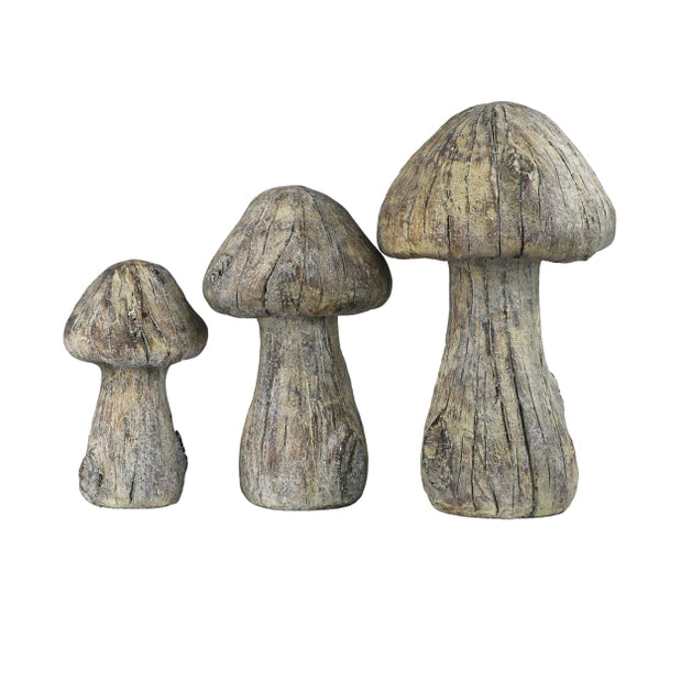 Gilly Mushrooms