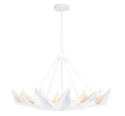 Clam Chandelier - Anecdote