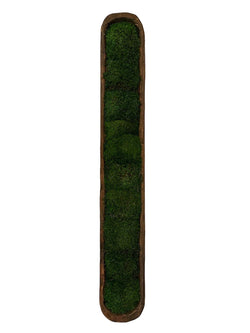 Long Slender Dough Bowl with Moss - Anecdote