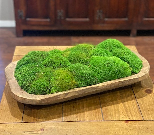 Wide Dough Bowl filled with Preserved Moss - Anecdote