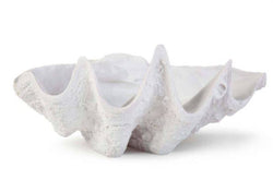 Bimini Clam Bowl - Anecdote